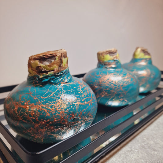 AMARILIS TURKIS+VARIS