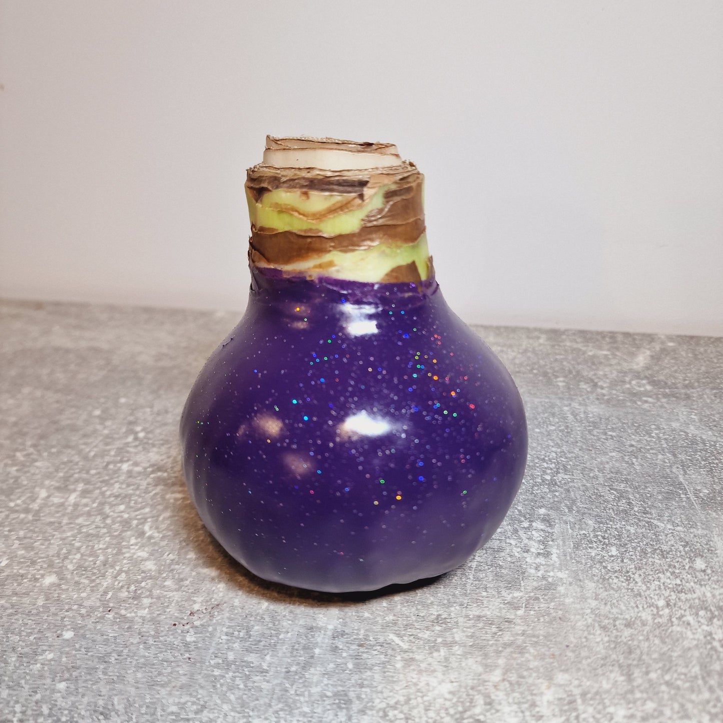 AMARILIS VIOLETINIS + BLIZGUTIS