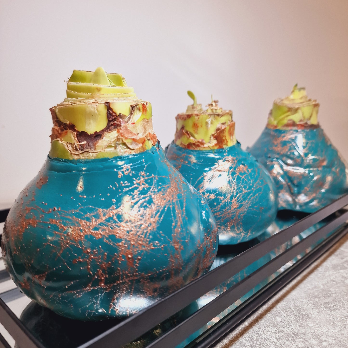 AMARILIS TURKIS + VARIS XXL