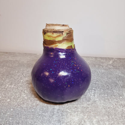 AMARILIS VIOLETINIS + BLIZGUTIS