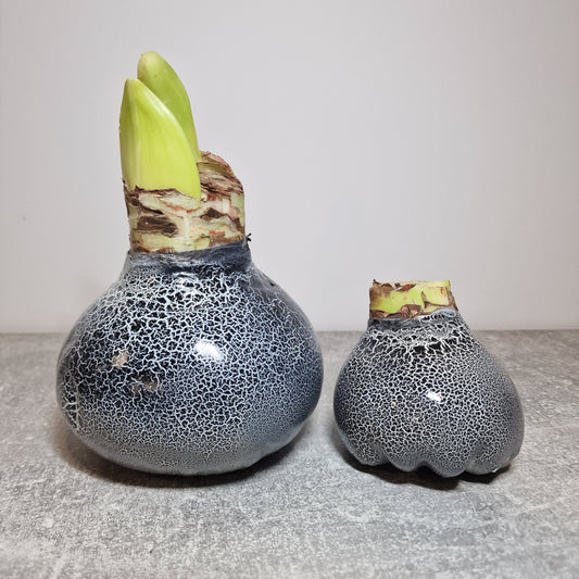 AMARILIS JUODA/BALTA XXL